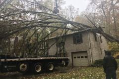 CuttingEdge-StormDamageCleanup_Eldersburg-Md-3