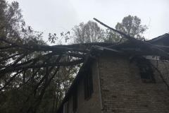 CuttingEdge-StormDamageCleanup_Eldersburg-Md-4