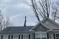 Cutting-Edge-Tree-Removal-Ellicott-City-MD-3